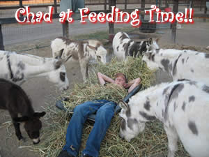Chad with the miniature donkeys at Feeding Time!!