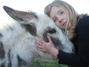 Miniature Donkeys For Sale at Seein' Spots Farm in California