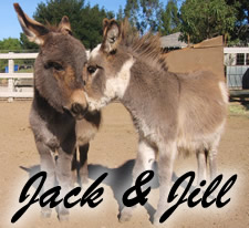 Jack & Jill