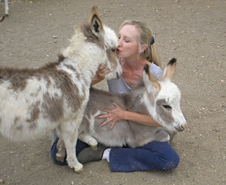 Linda with Miniature Donkey Foals