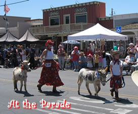 At the Parade with the Miniature Donkeys