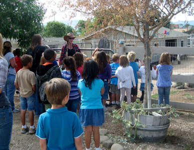 Petting Zoo at Seein' Spots Farm