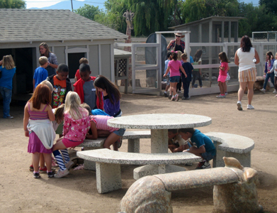 Petting Zoo at Seein' Spots Farm